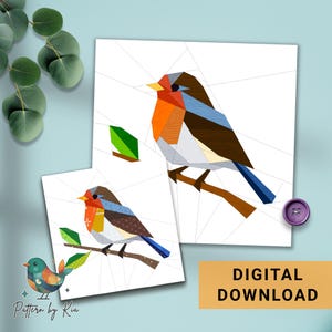 May include: Two geometric art prints of a robin bird perched on a branch. The birds feature orange, brown, blue, and white colors. The prints are on white backgrounds with a light blue backdrop. The text "DIGITAL DOWNLOAD" is on a gold rectangle.