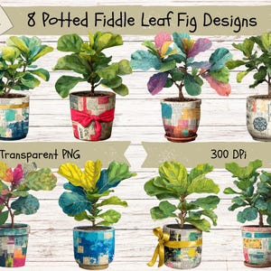 May include: An image showcasing eight potted fiddle leaf fig designs. Each plant features vibrant green leaves and is planted in a decorative pot. The pots are adorned with various designs, including newspaper clippings and colorful accents. The image also includes text that reads "8 Potted Fiddle Leaf Fig Designs."