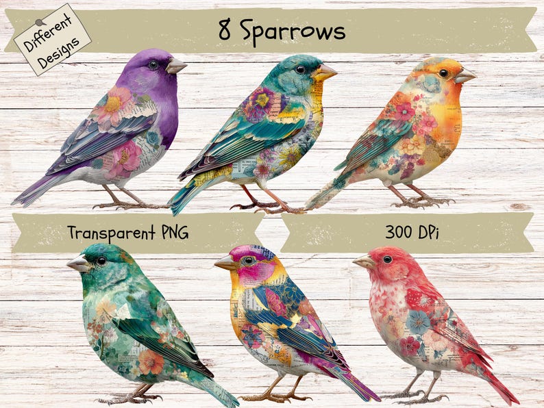 Floral Sparrow Clipart - Grunge Collage Bird Art PNG Graphics (instant ...