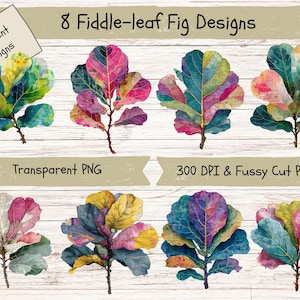 May include: Eight watercolor fiddle-leaf fig designs in various colors, including teal, pink, purple, and yellow. The image includes text that reads "8 Fiddle-leaf Fig Designs", "Different Designs", "Transparent PNG", and "300 DPI & Fussy Cut Pages".