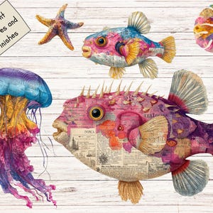 May include: A collection of marine life illustrations featuring a large pufferfish, a smaller pufferfish, a jellyfish, a starfish, and a tropical leaf. The designs incorporate collage-style text and vibrant pink, blue, and yellow hues.
