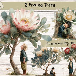 Könnte beinhalten: Aquarellillustration von 8 Protea-Bäumen mit großen rosa und weißen Blüten und grünen Blättern. Kinder interagieren mit den Bäumen. Der Text "Different Designs" und "Transparent PNG, 300 DPI" ist enthalten.