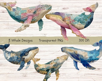 Whale Clipart - Vintage Ocean PNG Graphics for Collage Art (Digital Download)