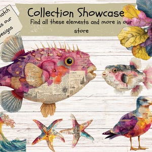 May include: A collection of marine-themed illustrations featuring a large pufferfish, a smaller pufferfish, a seagull, a seahorse, two starfish, a wave, and foliage. Text reads: Collection Showcase, Find all these elements and more in our store, Mix and Match across our Designs.