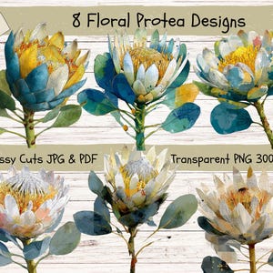 Imágenes prediseñadas de proteas en acuarela: Diseños florales azules y blancos (PNG, JPG, PDF)