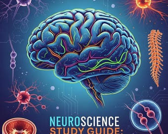 Neurology Study Guide, Neurology Nursing Study Guide, Neuro Anatomy, Neuro System Notes, Brain Disorders, Nursing Notes, Flashcards Study