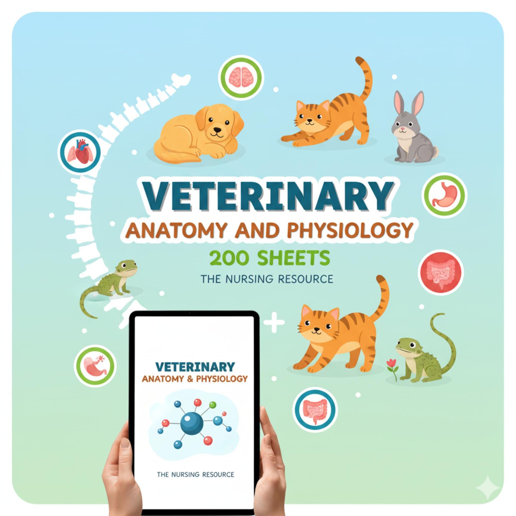 動物看護学 ANIMAL NURSING Large Animal Medicine and Nursing for Veterinary Technicians