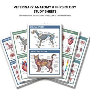 200 Sheets Veterinary Anatomy & Physiology Study Sheets, Nursing School Notes Veterinary Nurse Medical Notes Animal Anatomy, Vet Study Notes