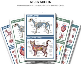 200 Sheets Veterinary Anatomy & Physiology Study Sheets, Nursing School Notes Veterinary Nurse Medical Notes Animal Anatomy, Vet Study Notes