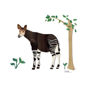 Okapi Watercolor Print - animal wall art, safari watercolor print, contemporary decor, African animal art