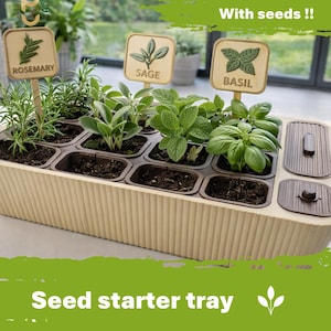 Bandeja modular para germinação e mudas, sistema de cultivo para ervas e vegetais.