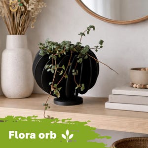 Könnte beinhalten: Ein schwarzer, kugelförmiger Pflanztopf mit einem einzigartigen Schlitzdesign, der eine grüne Hängepflanze enthält. Der Pflanztopf steht auf einem Holzregal, mit dem Text "Flora orb" in Grün unten. Eine weiße Vase und ein Spiegel sind im Hintergrund.