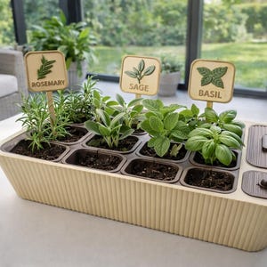 Può includere: Un'aiuola rettangolare beige con piante di rosmarino, salvia e basilico. Ogni erba è etichettata su un cartello di legno. L'aiuola ha scomparti individuali e due piccoli scomparti portaoggetti.