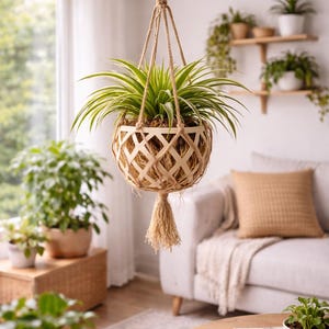 Op de afbeelding: Een hangende macramé plantenhouder met een groen en wit gestreepte plant. De geweven mand is gemaakt van natuurlijke vezels en heeft een kwast aan de onderkant. De plantenhouder is opgehangen aan een metalen karabijnhaak.