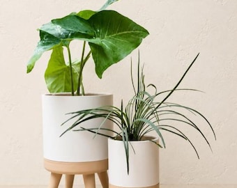 Moderne planten pot, plant pot met pootjes