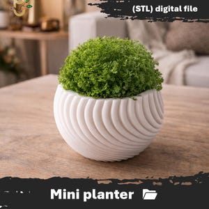 Pode incluir: Um mini vaso branco com um design em espiral, preenchido com folhagem verde vibrante. O vaso tem uma forma arredondada e está sobre uma superfície de madeira. O texto "Mini vaso" está na parte inferior e "(STL) arquivo digital" no topo.