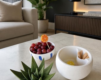 Aloe vera tandenstoker houder, met fruit tandenstoker dopjes