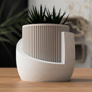 Op de afbeelding: Een moderne, tweekleurige plantenbak met een cilindrische, verticaal geribbelde beige pot in een gebogen, gebroken witte basis. De plantenbak bevat een donkergroene vetplant. Minimalistisch en eigentijds ontwerp.