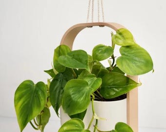 Hangende planten pot, voor hangplanten