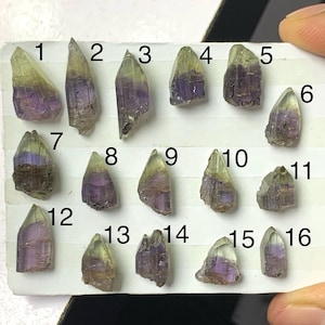 Puede incluir: Dieciséis pequeñas piedras preciosas en bruto, numeradas, con apariencia bicolor. La parte superior de cada piedra es de un amarillo verdoso pálido, que pasa a un púrpura intenso en la base. Las piedras se muestran sobre una superficie blanca.