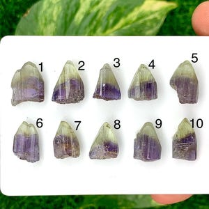 Puede incluir: Diez cristales de tanzanita en bruto y naturales se muestran en una tarjeta blanca. Los cristales presentan una mezcla de tonos morados y verdes, con un aspecto translúcido. Cada cristal está numerado del uno al diez.