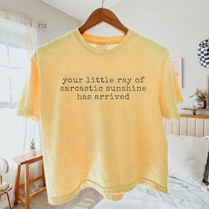 May include: A pale yellow short-sleeve t-shirt featuring the black printed text "your little ray of sarcastic sunshine has arrived" centered on the chest. The shirt is displayed on a wooden hanger against a light-colored interior background.