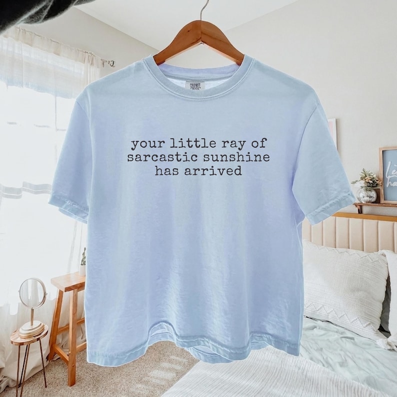 May include: A light blue short-sleeved t-shirt featuring the black printed text 'your little ray of sarcastic sunshine has arrived' centered on the chest. The garment is displayed on a wooden hanger against a neutral indoor setting.