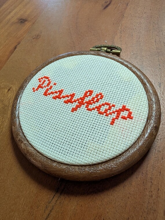 An actual hand-stitched cross-stitch hoop featuring a truly unhinged profanity — the kind of thing you hang in the bathroom and guests can't believe is real.