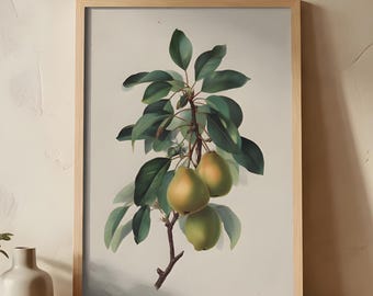 Vintage Pear Botanical Wall Art | French Country Fruit Illustration | Neutral Kitchen Decor