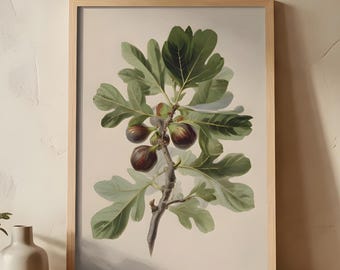 Italian Fig Botanical Wall Art | Vintage Mediterranean Fruit Print | Neutral Green Kitchen Decor