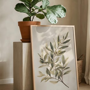 May include: A framed botanical print featuring a detailed illustration of olive branches with green and yellow-green leaves. The print has a light beige background and a natural wood frame. A potted plant sits on a concrete pedestal.