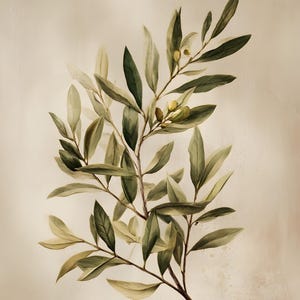 May include: Watercolor illustration of an olive branch with green and yellow leaves and small olives. The branch is a dark brown color, set against a neutral beige background. The artwork has a vintage, botanical theme.