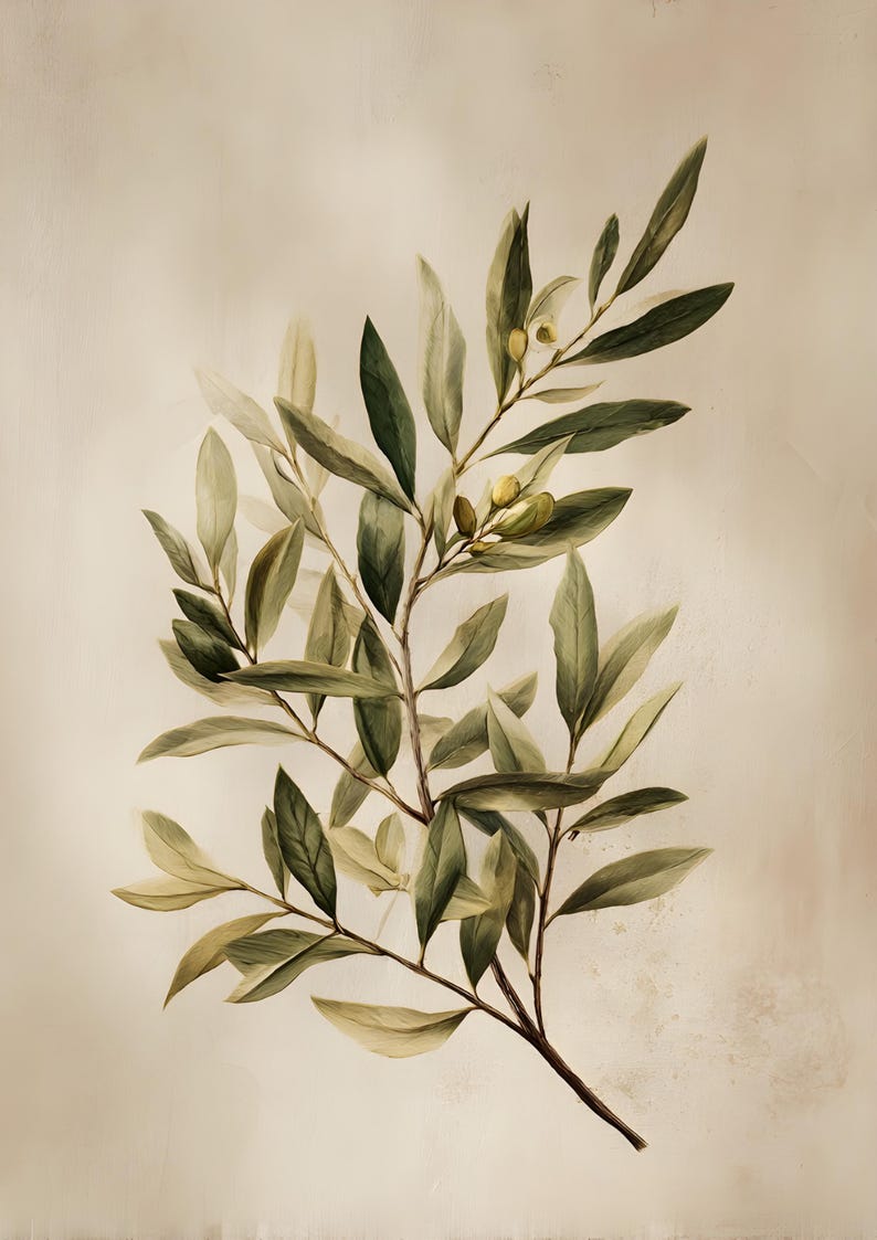 May include: Watercolor illustration of an olive branch with green and yellow leaves and small olives. The branch is a dark brown color, set against a neutral beige background. The artwork has a vintage, botanical theme.
