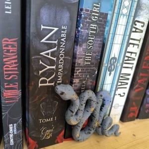 Puede incluir: Un marcap&aacute;ginas en forma de serpiente gris y dorada descansa entre una fila de libros. El marcap&aacute;ginas est&aacute; enrollado y detallado, con un aspecto texturizado. Los libros tienen cubiertas oscuras con t&iacute;tulos como "RYAN" y "THE SOUTH GIRL 1".