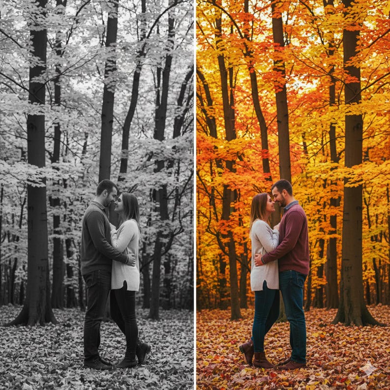 May include: A couple embraces in a forest setting. The image is split, with a black and white version on the left and a color version on the right. The color version shows vibrant autumn foliage in shades of yellow and orange.