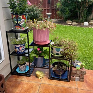May include: A black metal plant stand holds several potted plants with colourful flowers. The pots vary in size and design, including a vibrant, patterned ceramic pot and a pink, textured pot. A small frog statue is also visible.