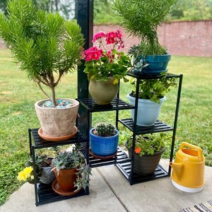 May include: A black metal plant stand with multiple tiers, displaying a variety of potted plants. The plants include a small tree, flowering geraniums, and succulents. A yellow watering can is placed nearby, adding a bright accent to the scene.