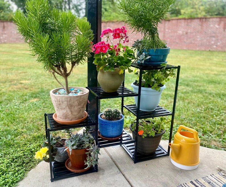 May include: A black metal plant stand with multiple tiers, displaying a variety of potted plants. The plants include a small tree, flowering geraniums, and succulents. A yellow watering can is placed nearby, adding a bright accent to the scene.