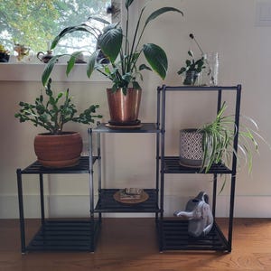 May include: A black metal plant stand with multiple shelves, displaying various potted plants. The plants include a large leafy plant in a copper pot, a cactus in a wooden pot, and a spider plant in a patterned pot. A decorative elephant statue is also visible.