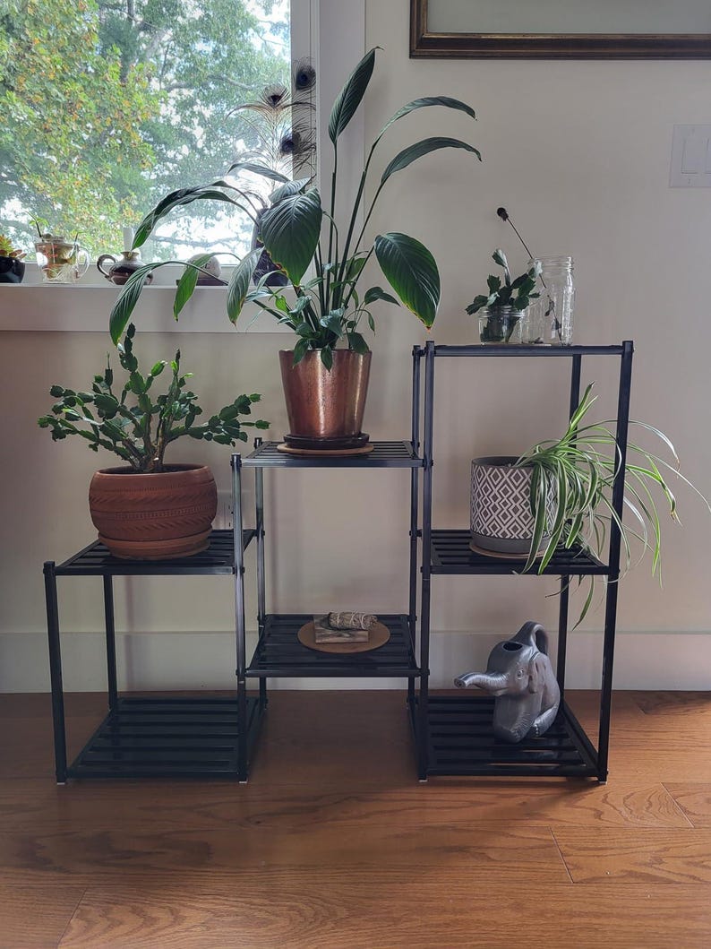 May include: A black metal plant stand with multiple shelves, displaying various potted plants. The plants include a large leafy plant in a copper pot, a cactus in a wooden pot, and a spider plant in a patterned pot. A decorative elephant statue is also visible.