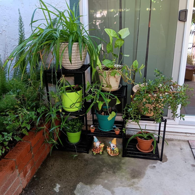 May include: A selection of potted plants displayed on black metal plant stands. The plants vary in size and colour, including green, yellow, and brown. Two small garden gnomes are positioned at the base of the stands. The stands are arranged in a tiered formation.