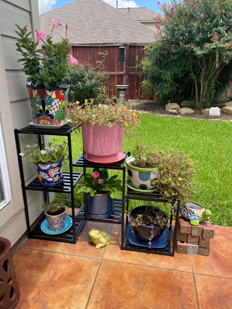 May include: A black metal plant stand holds several potted plants with colourful flowers. The pots vary in size and design, including a vibrant, patterned ceramic pot and a pink, textured pot. A small frog statue is also visible.