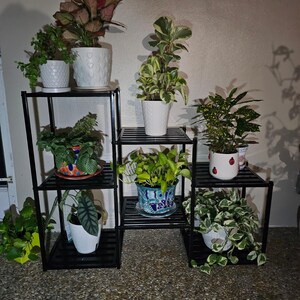 May include: A black metal plant stand with several shelves showcasing various potted plants. The plants feature green and variegated leaves in white and patterned pots. The stand is arranged in a tiered configuration.