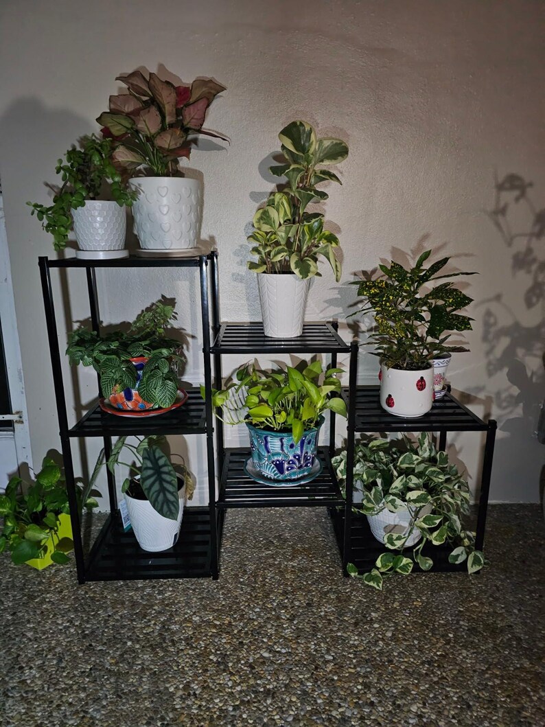 May include: A black metal plant stand with several shelves showcasing various potted plants. The plants feature green and variegated leaves in white and patterned pots. The stand is arranged in a tiered configuration.