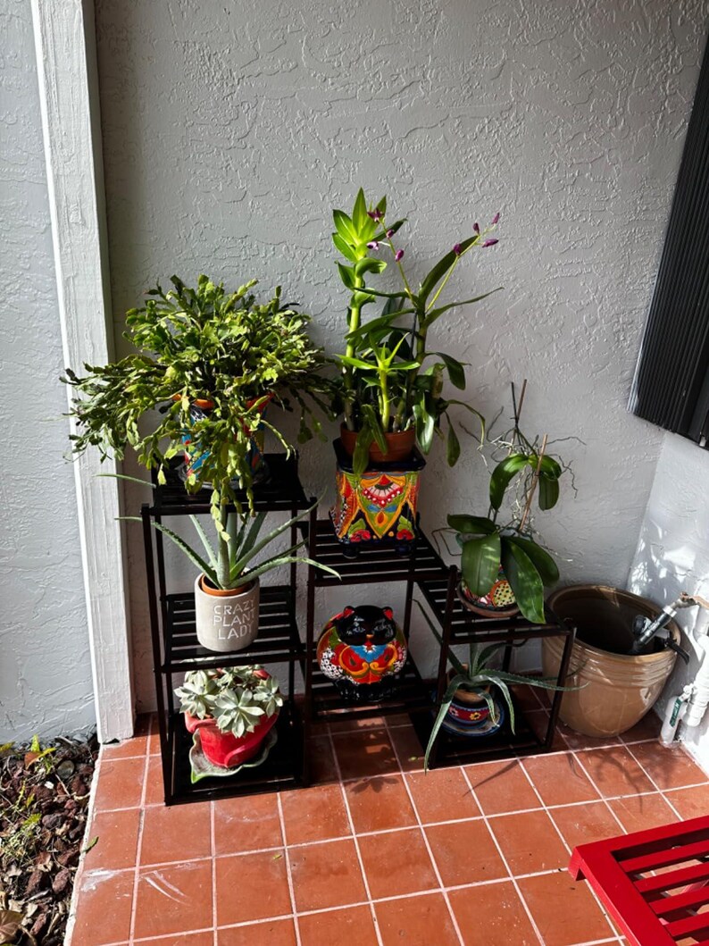 May include: A black metal plant stand displays various potted plants, including succulents and flowering plants. The pots are in various colours and patterns, with one pot reading "Crazy Plant Lady". The stand is on a tiled surface.