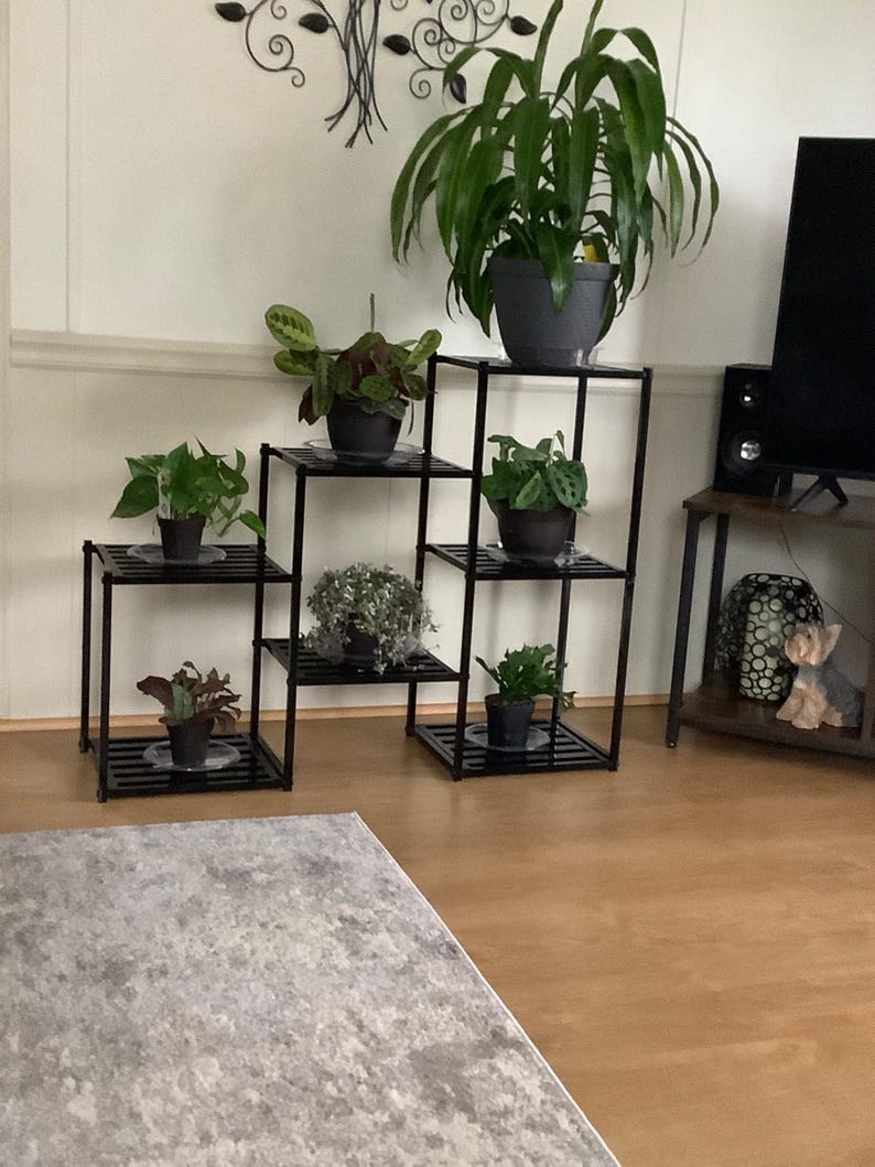 May include: Black metal plant stands with multiple tiers, each holding potted green plants. The stands are arranged in a staggered configuration, creating a visually appealing display. The plants vary in size and type, adding to the overall aesthetic.