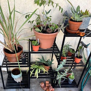 May include: A black metal plant stand with multiple shelves, displaying a variety of potted plants. The plants include succulents, grasses, and other greenery in terracotta pots and decorative containers. A pair of orange scissors rests on one shelf.