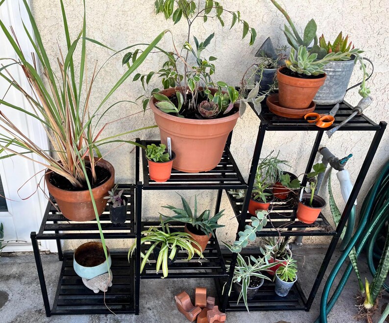 May include: A black metal plant stand with multiple shelves, displaying a variety of potted plants. The plants include succulents, grasses, and other greenery in terracotta pots and decorative containers. A pair of orange scissors rests on one shelf.