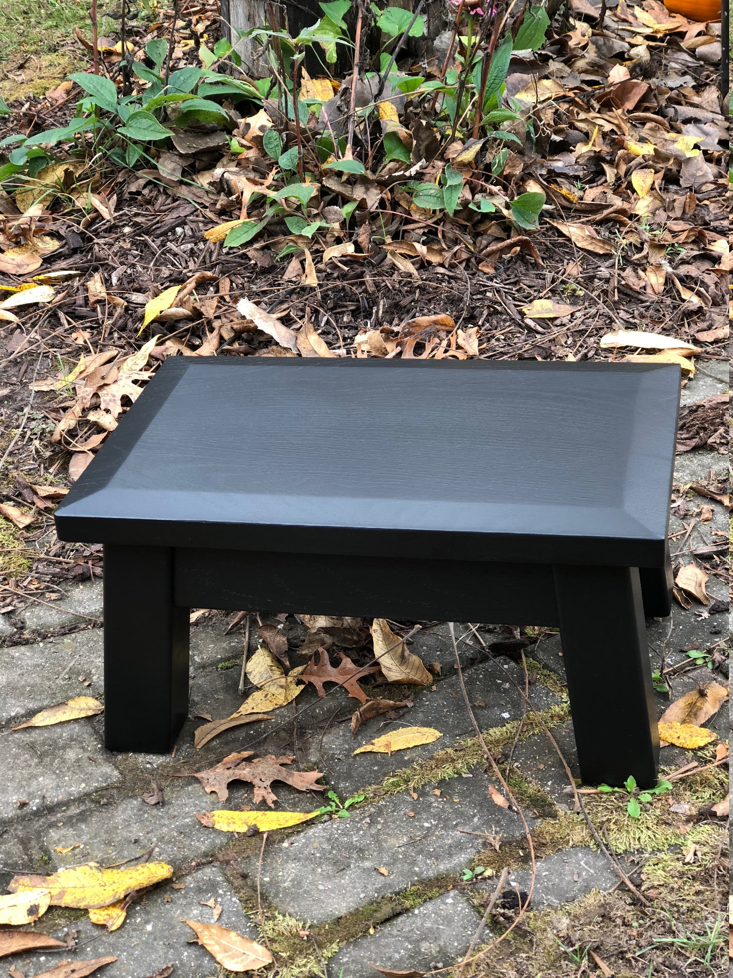 Classic, Modern, Beveled Edge, Wood Riser, Step Stool, Footstool ...