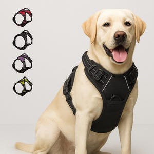 Arnés antitirones para perros: chaleco ajustable, 4 hebillas de seguridad, asa superior, arnés para caminar seguro y cómodo.